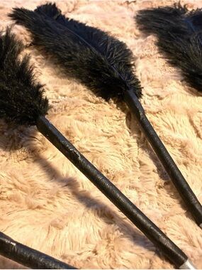 Black Feather Writing Pen